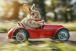 Easter bunny drives quickly to Easter in a retro red car