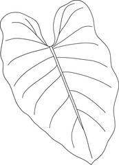 Poster - Philodendron leaf