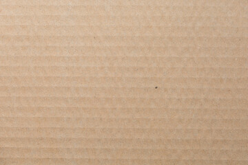 Wall Mural - Close up of Old brown paper texture  visible. Paper fibers suitable for use as background images or decorations