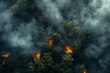 Burning green forest with smoke around aerial view, climate problem global warming
