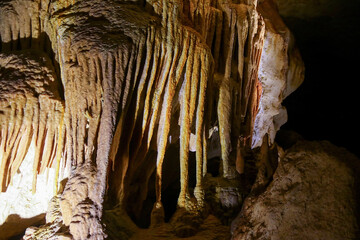 Canvas Print - Drapery in the Blanche Cave in the Naracoorte Caves National Park in South Australia