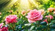 blooming rose flowers in fabulous garden on mysterious fairy tale spring or summer floral sunny background with sun light beams and rays fantasy amazing nature dreamy landscape wide panoramic banner