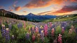 mountains crested butte wildflowers