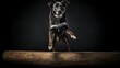 obedience dog balancing