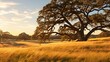 ecosystem oak savanna