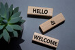 Hello and Welcome symbol. Concept words Hello and Welcome on wooden blocks. Beautiful grey background with succulent plant. Business and Hello and Welcome concept. Copy space.