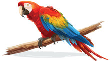 Cute Funny Parrot Silly Smiling Isolated White Background
