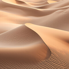 Canvas Print - Abstract sand dunes in a desert