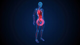 Fototapeta  - Abstract 3D illustration of the prostate