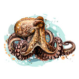 Fototapeta Konie - A color, graphic portrait of an octopus in watercolor style.