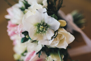 Wall Mural - white flower