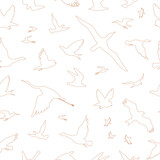 Fototapeta Dinusie - Flying birds. Vector color outline seamless pattern.