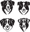 Black and White Border Collie Vector Logo Animal Head