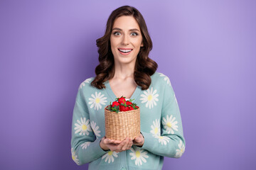 Poster - Photo of excited funky lady dressed flower print cardigan enjoying straw berries isolated violet color background