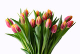Fototapeta Tulipany - bouquet of tulips