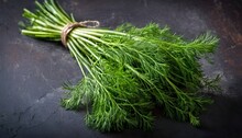 Fresh Dill Cut In The Home Garden. On Dark Rustic Background