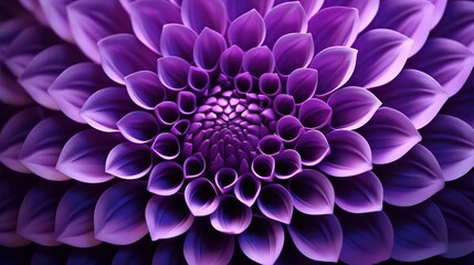 Purple Concentric Flower Center Macro Close-up. Mandala Kaleidoscopic design