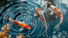 A Tranquil Scene Captures The Graceful Movement Of Two Large Koi Fish Swimming Peacefully In A Serene Pond