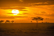 © Travel 'n' Lifestyle - View of wildlife at sunset in the Savanna in Maasai Mara National Reserve, Rift Valley Province‎, Kenya.