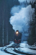 © Travel 'n' Lifestyle - View of a steam locomotive train crossing the forest in winter, Ruskeala Express, Republic of Karelia, Russia.