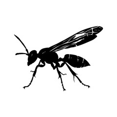 Wall Mural - Silhouette wasp animal black color only full body