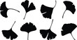© WaQar - Cartoon flat ginkgo biloba leaf silhouette icon set isolated on transparent background. Nature eco black vector collection. Leaflet organic leaves cosmetics and medical plant icon