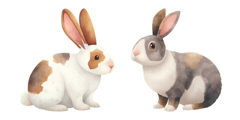 cute rabbit soft watercolour vector illustration