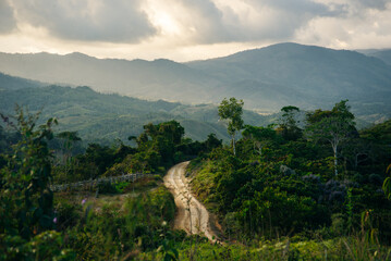 coffee area landscape in colombia