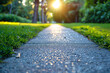 Close-up of sunlit path with lush green grass on either side