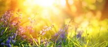 The Morning Sunshine Illuminates A Close-up View Of Vibrant Spring Foliage, Showcasing The Bluebell Flower Blossoms And Lush Green Grass In Sharp Focus.
