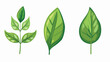 Leafs plant ecology icon vector illustration design