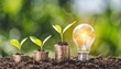 the light bulb sits on the ground plants grow on stacked coins renewable energy production is essential for the future green businesses using renewable energy can limit climate change