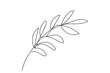 Continuous one line drawing of branch with leaves. Line art. Olive branch. Plant. Concept of peace, organic element. White backdrop. Design element for print, postcard, scrapbooking, coloring book.