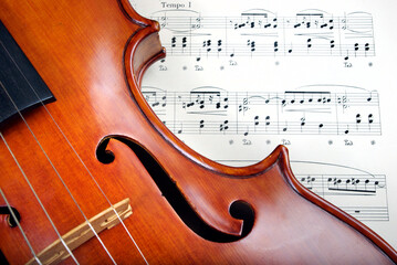 Wall Mural - beautiful antique violin and notes	