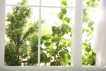 Wall Mural - Beautiful view through window on garden in morning