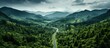 Top view of green forest landscape. pine trees and asphalt road Country lane