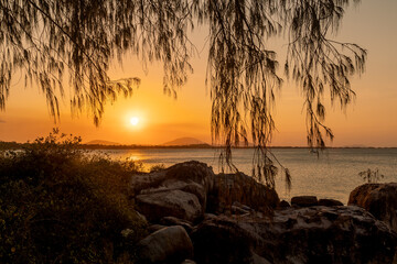 Wall Mural - Sunset over rocks and the sea with a tree framing the sun with its leaves over Queens Bay at the town of Bowen in the Whitsunday region of tropical Queensland, Australia.