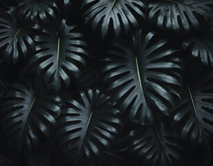 Poster - textures of abstract black leaves for tropical leaf background. flat lay, dark nature concept, tropi