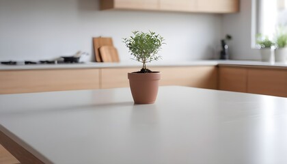 empty clean table in front of kitchen, modern interior design	
