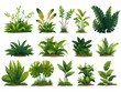 Rainforest vegetation set flat design isolated style illustration