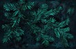 © qntn - Beautiful Christmas Background with green fir tree brunch close up. Copy space, trendy moody dark toned design for seasonal quotes. Vintage December wallpaper. Natural winter holiday forest backdrop A
