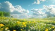 Beautiful meadow field with fresh grass and yellow dandelion flowers in nature against a blurry blue sky with clouds.