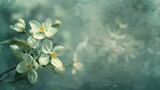 Fototapeta Kwiaty - Spring flower