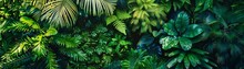 Rainforest Canopy From Above Lush Greenery Exotic