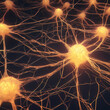 einzelne Neuronen und Synapsen mit ihren Verbindungen