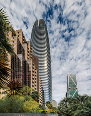 Wall Mural - View of a downtown skyscrapers with trees in a park in the SOMA neighborhood in San Francisco, California