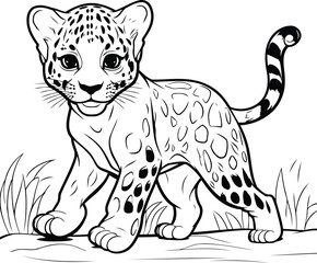 Poster - Snow leopard. vector illustration. isolated on a white background.