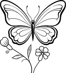 Poster - Butterfly and flower in black and white. Vector illustration.