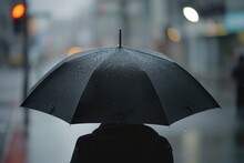Umbrella In Rain