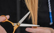 Skracać końcówki włosów, strzyżenie nożyczkami kosmyków blond 